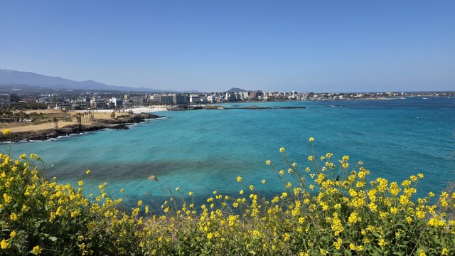 겸손에 이르는 유일한 길 이미지