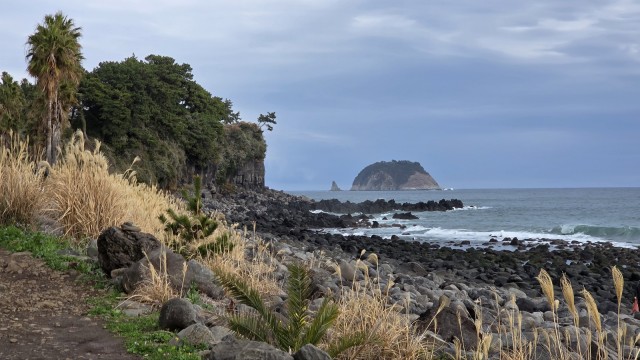 들을 자만이 듣는다 이미지