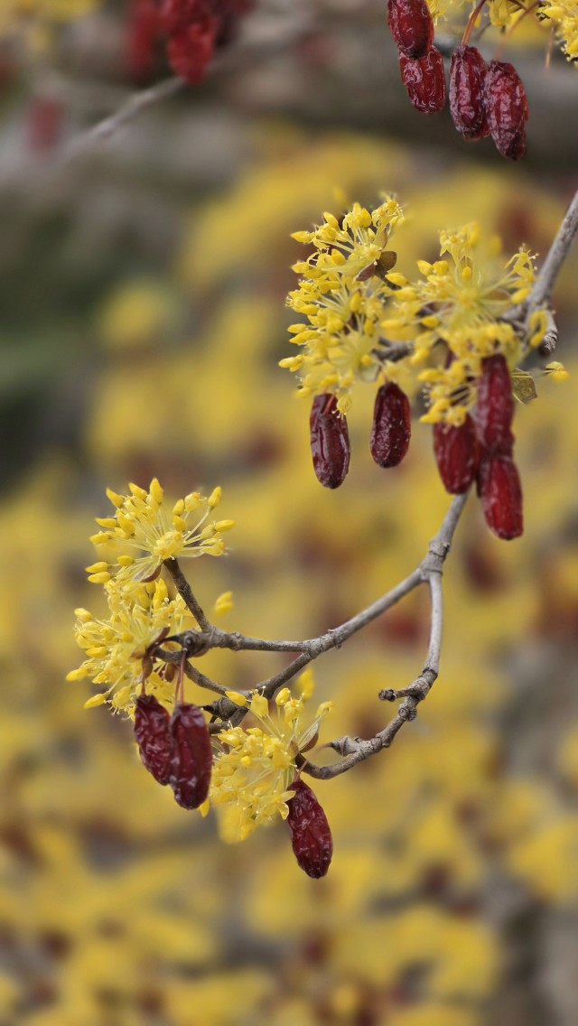 믿음으로 깨어나라 이미지