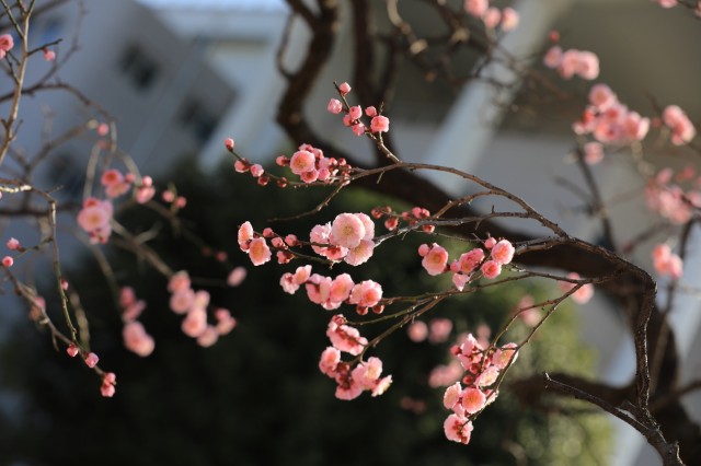 좋은 사람이 아닌, 자기만의 사람이 되라 이미지