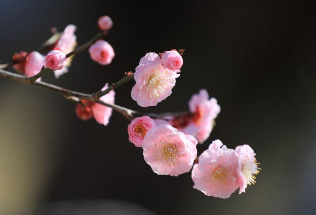 겸손과 하나님의 말씀 이미지