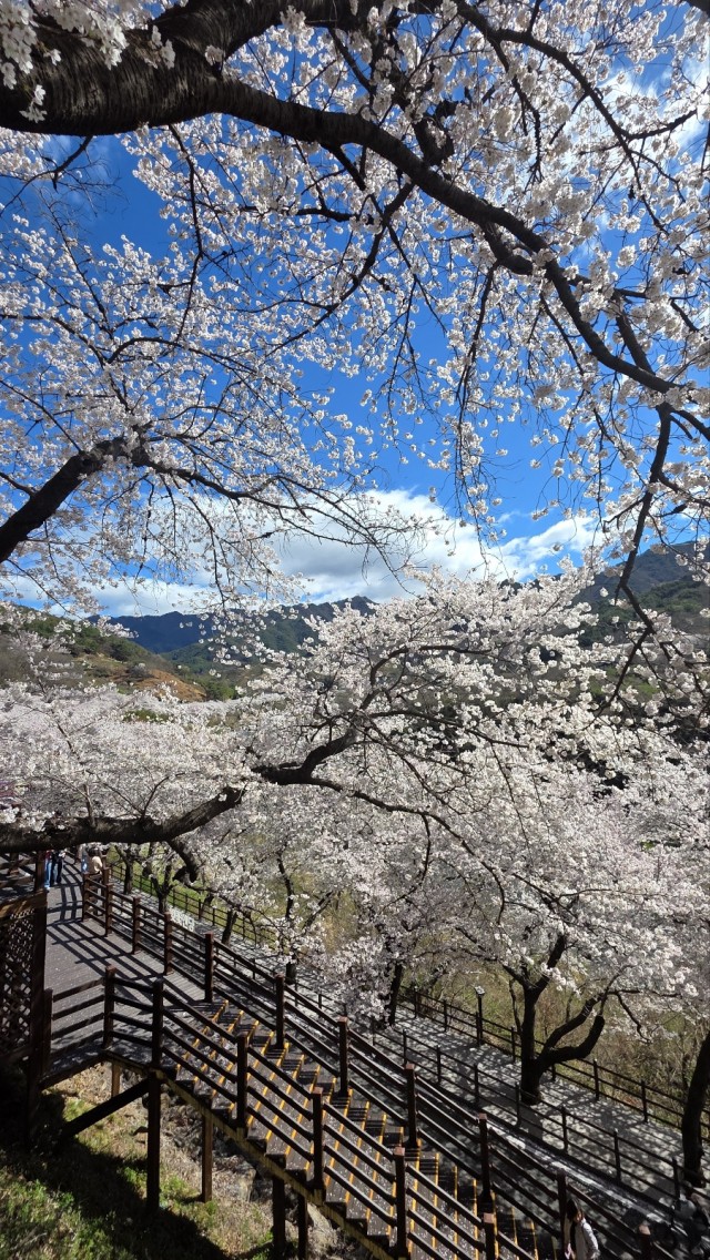 성공적인 삶 이미지