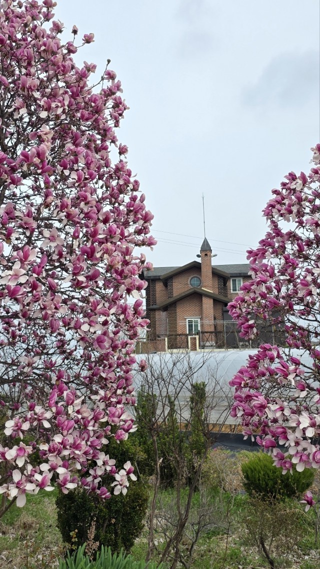 바람을 잡으려 마세요 이미지